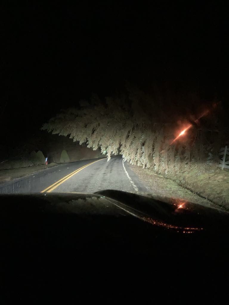 Scudder Hill Rd, towards Denver, during Wednesday's wind storm, before the snow.